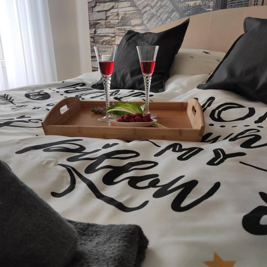 Kuca Vila Idila Vrsac Dış mekan fotoğraf