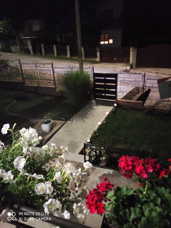 Kuca Vila Idila Vrsac Dış mekan fotoğraf