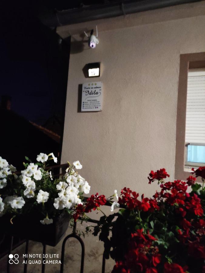 Kuca Vila Idila Vrsac Dış mekan fotoğraf