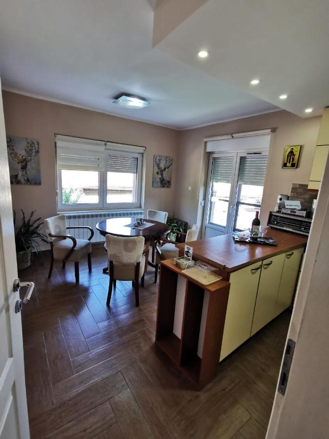 Kuca Vila Idila Vrsac Dış mekan fotoğraf